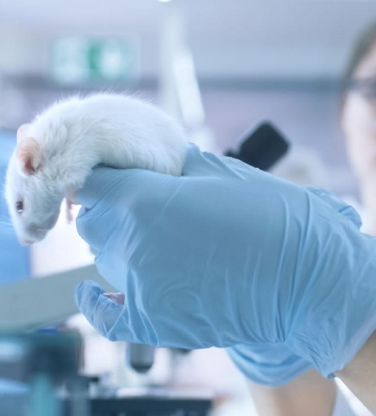 imagem Carga Viva<br>farmacêutica